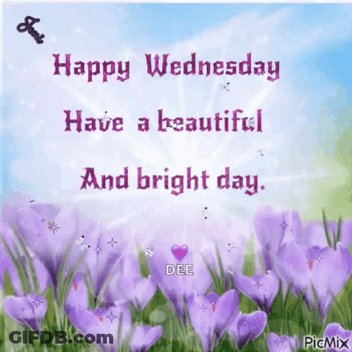 Have A Beautiful Bright And Happy Wednesday GIF