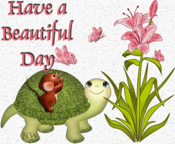 Have A Beautiful Day Cute Turtle GIF