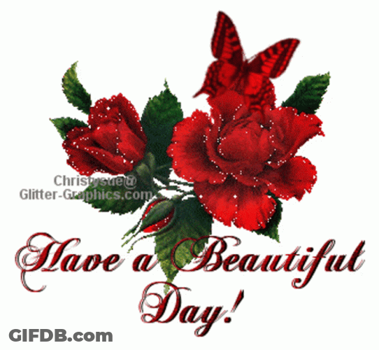 Have A Beautiful Day Lovely Butterfly GIF
