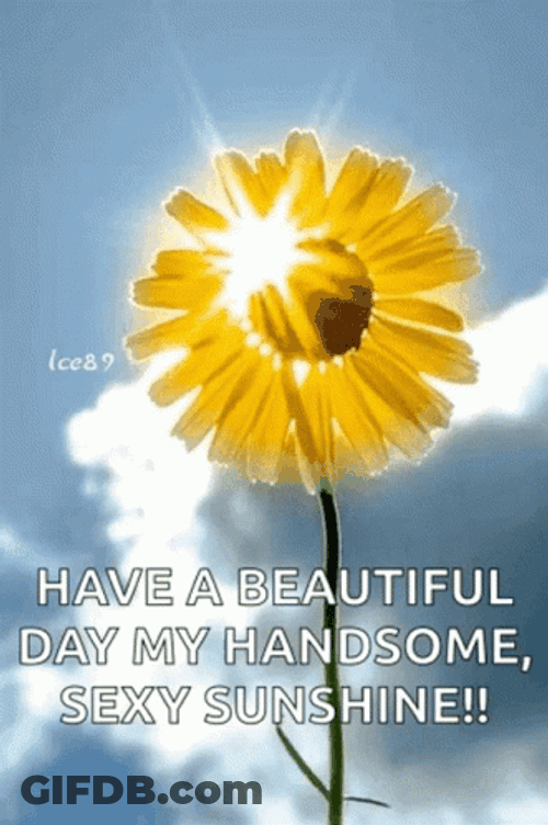 Have A Beautiful Day My Handsome Sexy Sunshine GIF