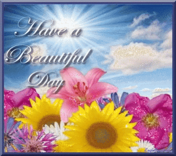 Have A Beautiful Day Sunshine Flowers GIF