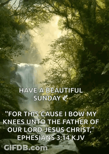 Have A Beautiful Sunday For This Cause I Bow My Knees Unto The Father Of Our Lord Jesus Christ Ephesias 3:14 Kjv GIF