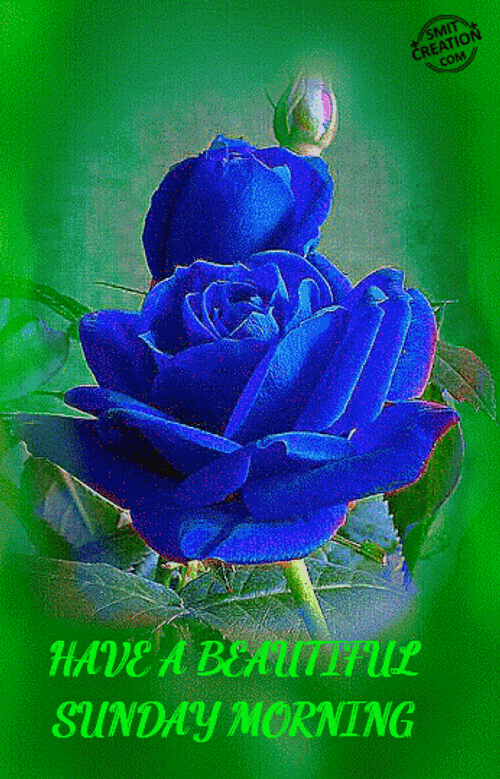 Have A Beautiful Sunday Morning GIF