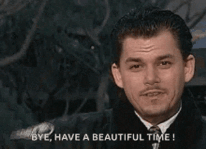 Have A Beautiful Time Bye Meme GIF