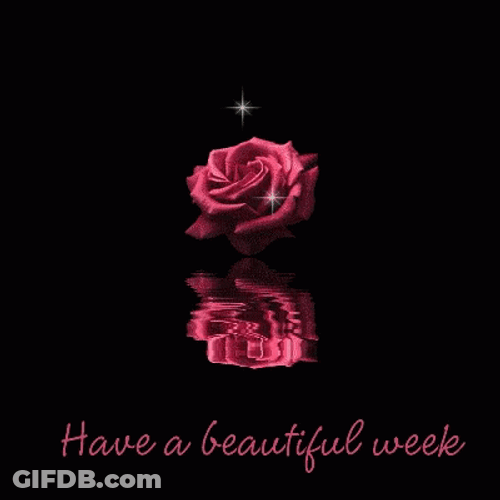 Have A Beautiful Week Sparkling Rose GIF