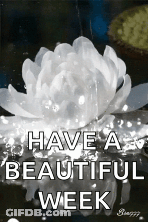 Have A Beautiful Week White Flower GIF