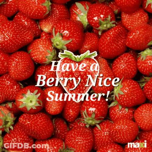 Have A Berry Nice Summer GIF