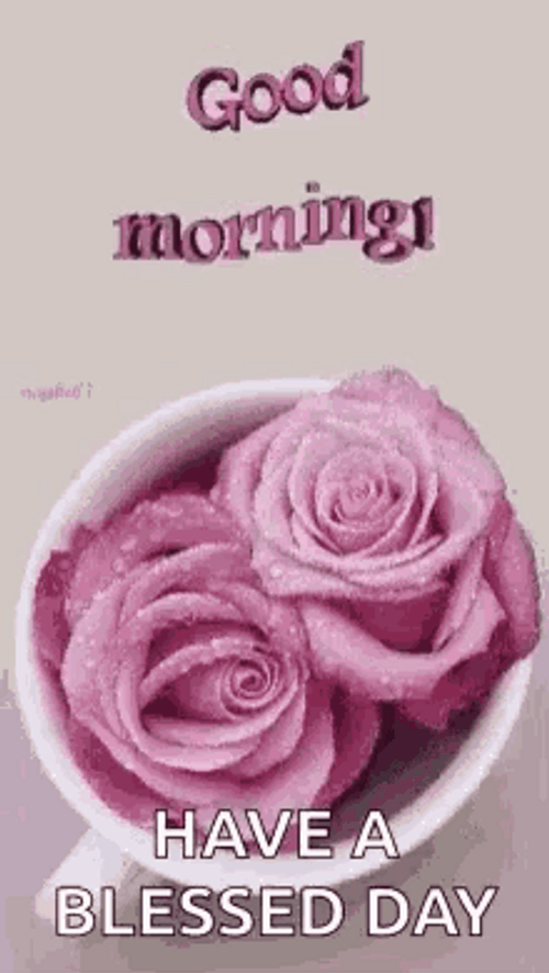 Have A Blessed Day Pink Roses GIF