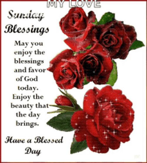 Have A Blessed Day Sunday Blessings GIF