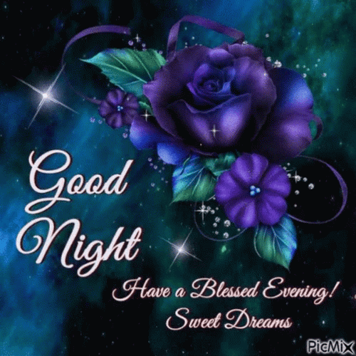 Have A Blessed Good Evening Sweet Dreams Good Night GIF