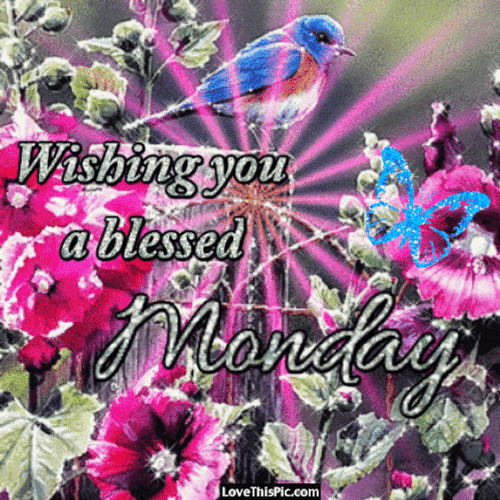 Have A Blessed Monday God Bless You GIF