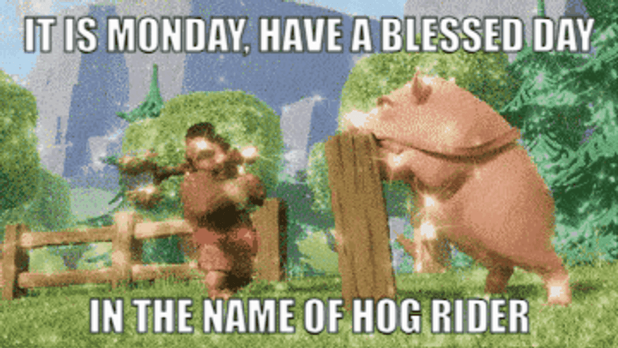 Have A Blessed Monday In The Name Of Hog GIF