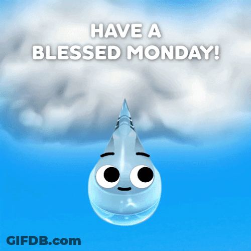 Have A Blessed Monday Rain Drop To Plant GIF