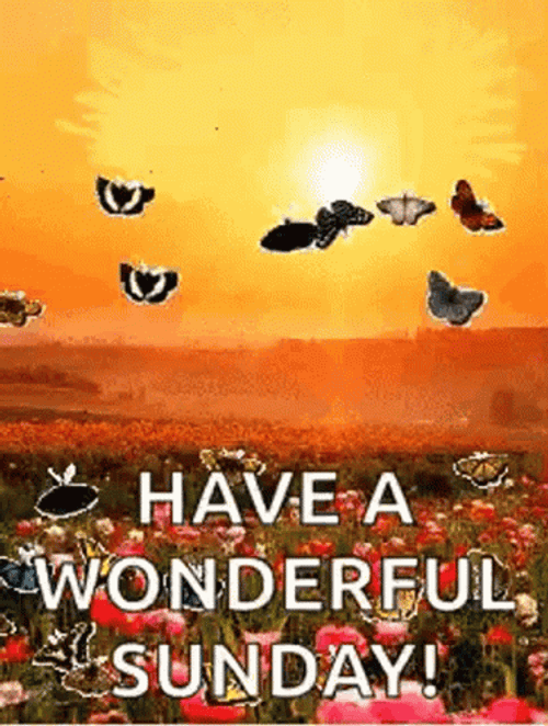 Have A Blessed Sunday Beautiful Sunrise GIF