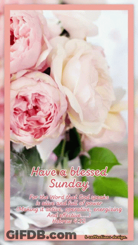 Have A Blessed Sunday GIF