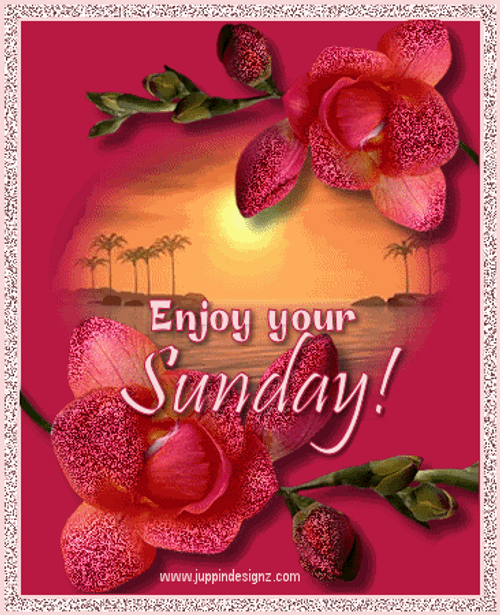 Have A Blessed Sunday Enjoy GIF