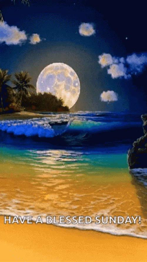 Have A Blessed Sunday Paradise GIF