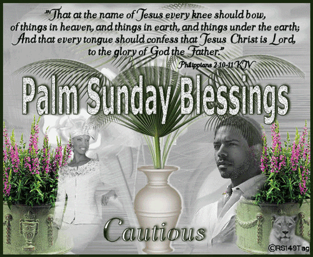 Have A Blessed Sunday Philippians Verse GIF