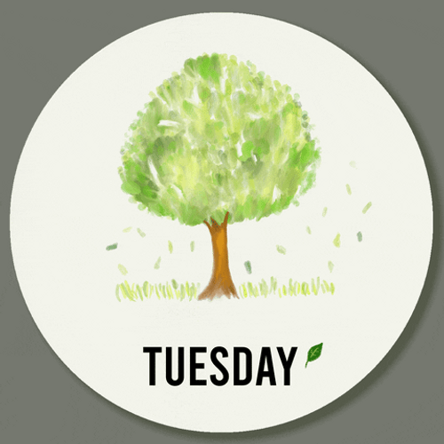 Have A Blessed Tuesday And Wonderful Week GIF