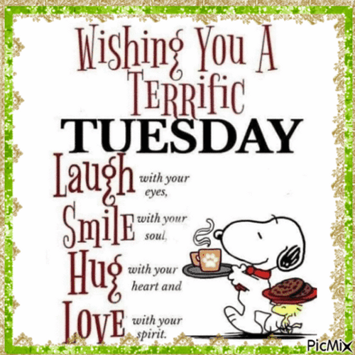 Have A Blessed Tuesday Wishing You Terrific Day GIF