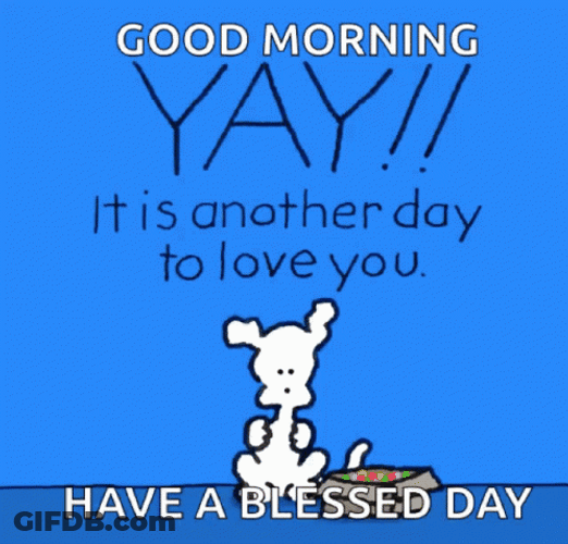 Have A Blessed Wednesday Chippy The Dog GIF