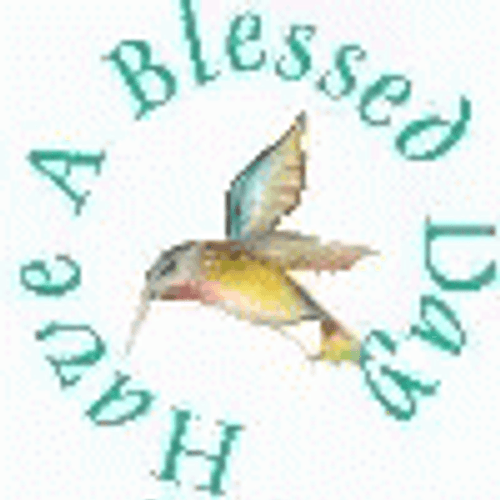 Have A Blessed Wednesday Hummingbird GIF