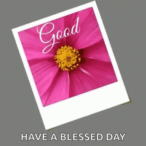 Have A Blessed Wednesday Pictures Of Flowers GIF