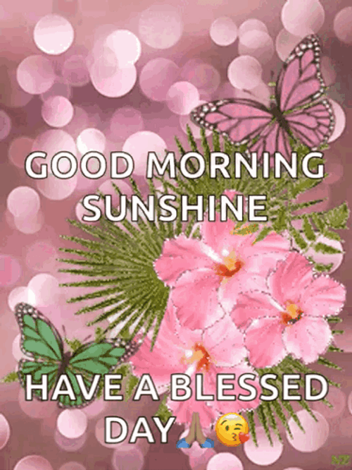 Have A Blessed Wednesday Shimmering Flowers Butterflies GIF