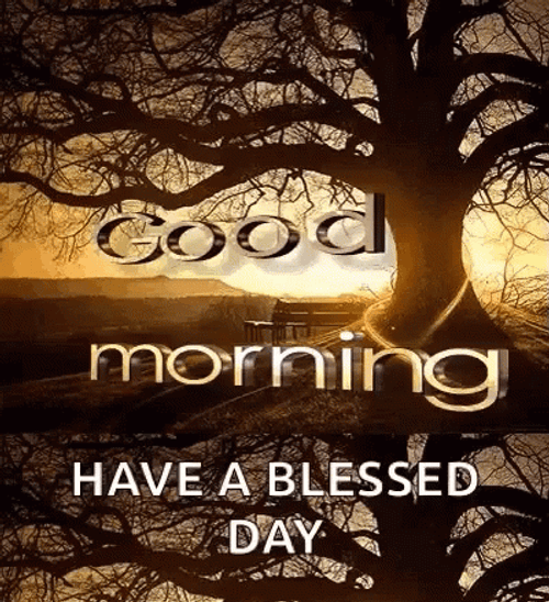 Have A Blessed Wednesday Tree Sunrise Silhouette GIF