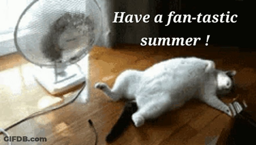 Have A Fantastic Summer Time GIF