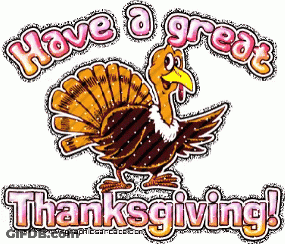 Have A Funny And Happy Thanksgiving GIF