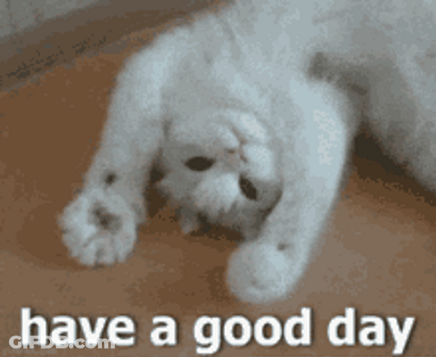 Have A Good Day Cat Paws Waving GIF
