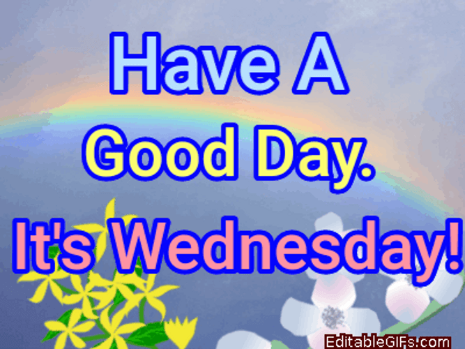 Have A Good Day Its Wednesday GIF