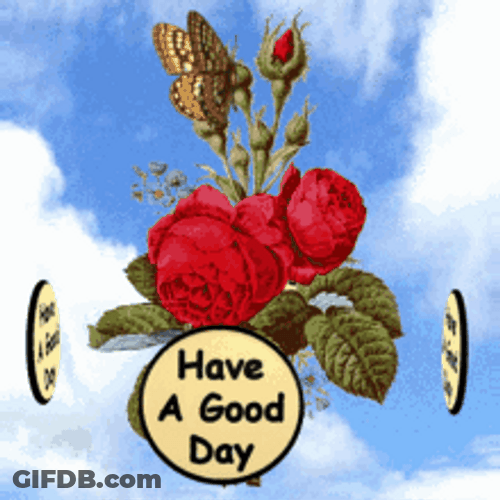 Have A Good Day Roses & Butterfly GIF