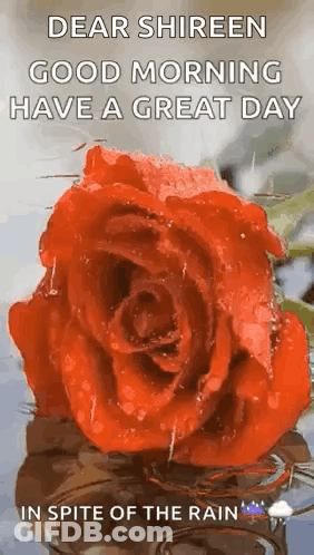 Have A Good Day Sign With Flower GIF