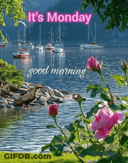 Have A Good Great Monday GIF