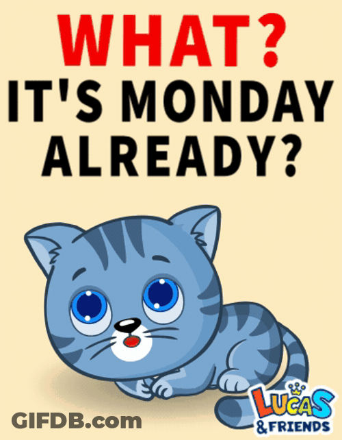 Have A Good Monday Awee Cat Sad GIF