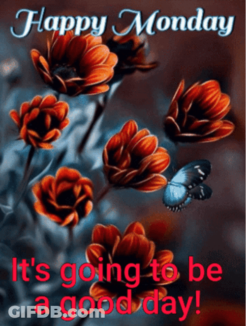 Have A Good Monday Great Day GIF