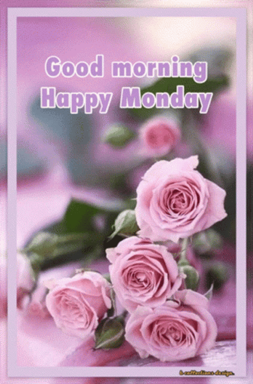 Have A Good Monday Pinky Roses GIF