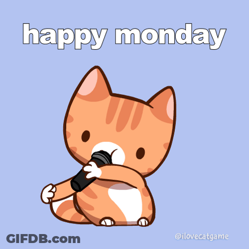 Have A Good Monday Rapping Cat GIF