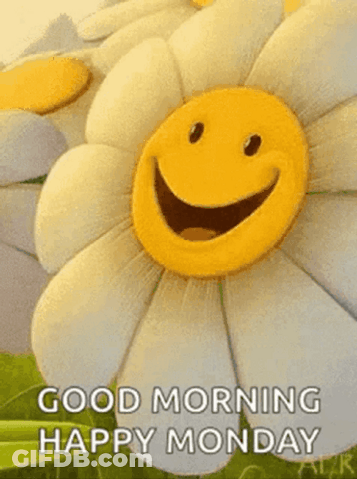 Have A Good Monday Smiling Flower GIF