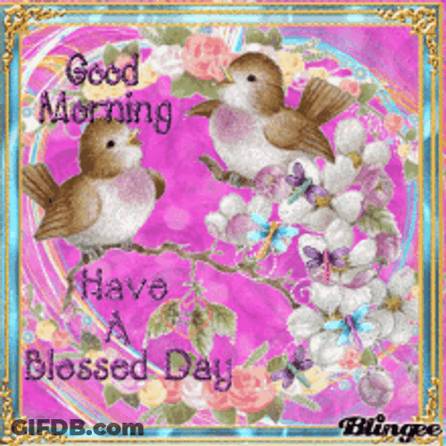 Have A Good Morning Blessing Tweety Bird GIF