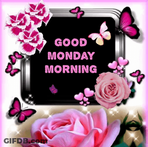 Have A Good Morning Happy Monday GIF