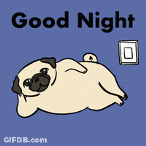 Have A Good Night Pug Switching Light Off GIF