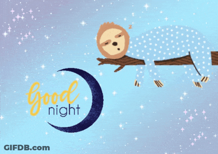 Have A Good Night Sleeping Sloth GIF