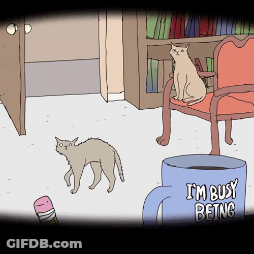 Have A Great Day At School Busy Awesome GIF