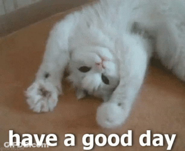 Have A Great Day At School Cute Cat GIF
