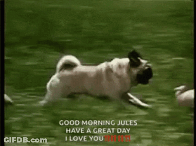 Have A Great Day At School Dog Running GIF