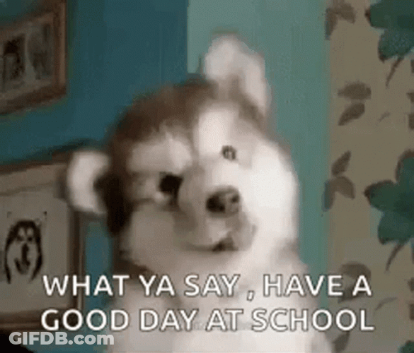 Have A Great Day At School Puppy What Ya Say GIF