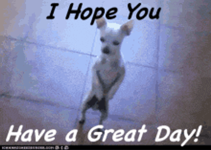 Have A Great Day Cute GIF